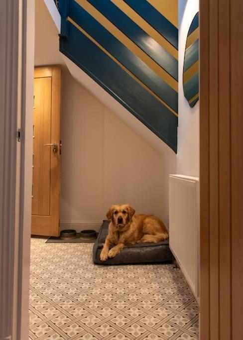The Stylish 3-Bedroom Maisonette Retreat Stirling Extérieur photo